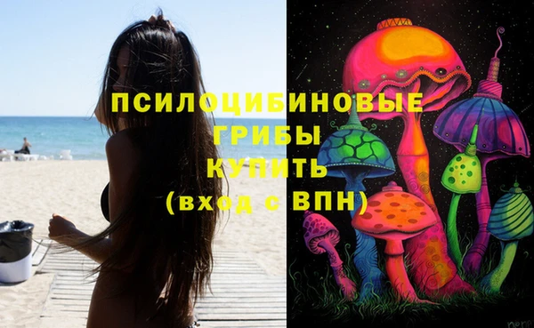 марихуана Гусиноозёрск